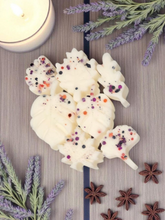 Load image into Gallery viewer, MacIntosh Apple